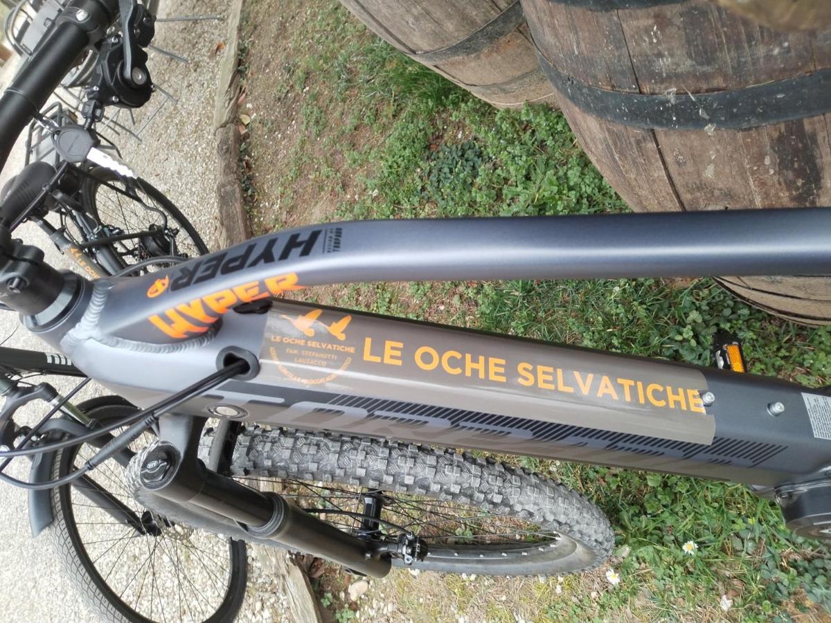 Agriturismo Le Oche Selvatiche Lauzacco Zewnętrze zdjęcie