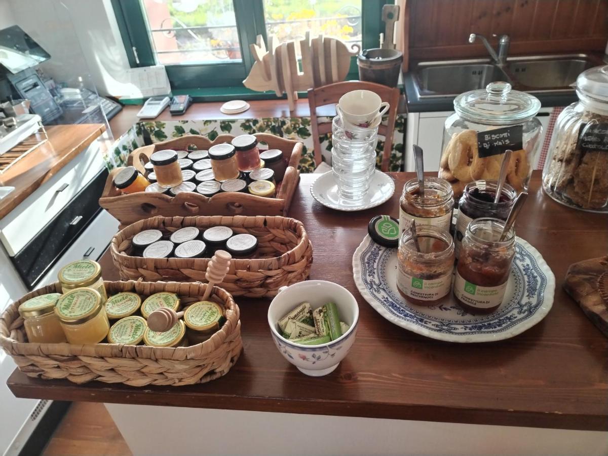 Agriturismo Le Oche Selvatiche Lauzacco Zewnętrze zdjęcie