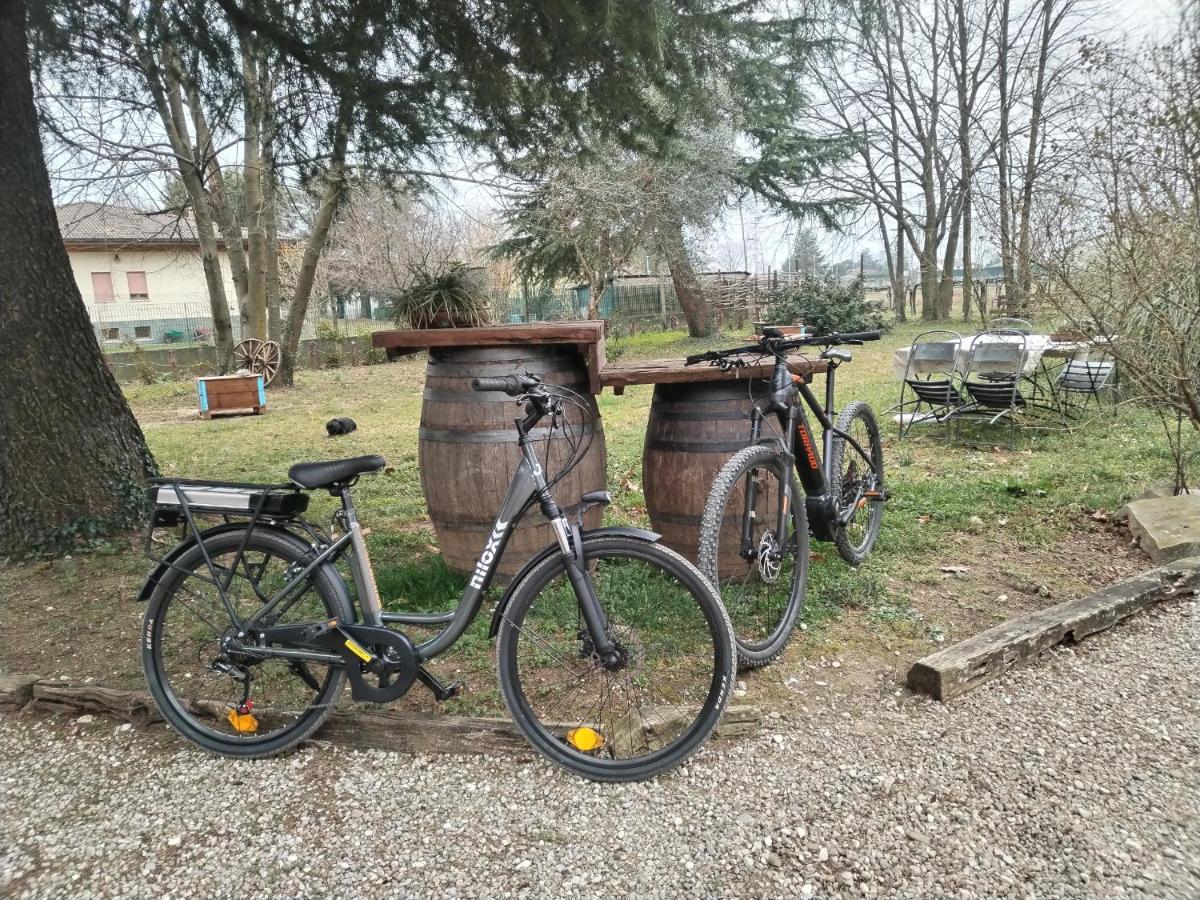 Agriturismo Le Oche Selvatiche Lauzacco Zewnętrze zdjęcie