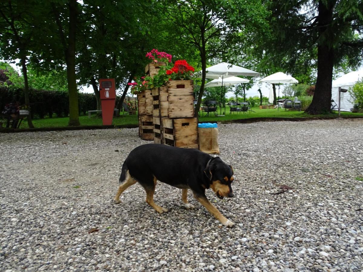 Agriturismo Le Oche Selvatiche Lauzacco Zewnętrze zdjęcie
